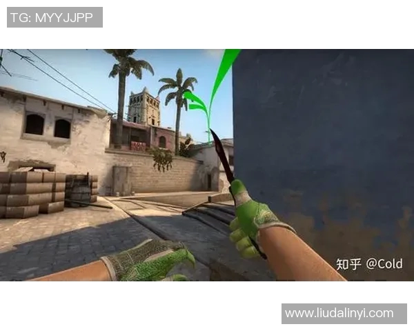 CSGO战术解析：深入剖析WE战队的快速进攻策略与执行细节