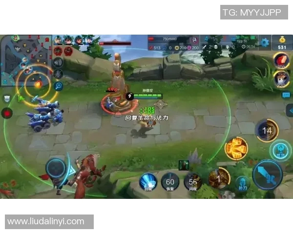 李秀英揭秘王者荣耀游戏技巧与心得分享助你提升战斗水平